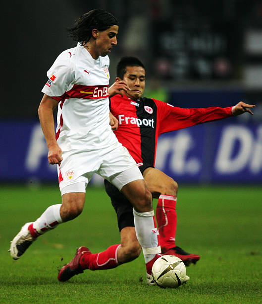 挥巨大作用 挥巨大作用